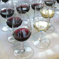 Wine tasting glasses