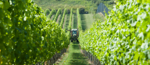 vineyard-tractor-001