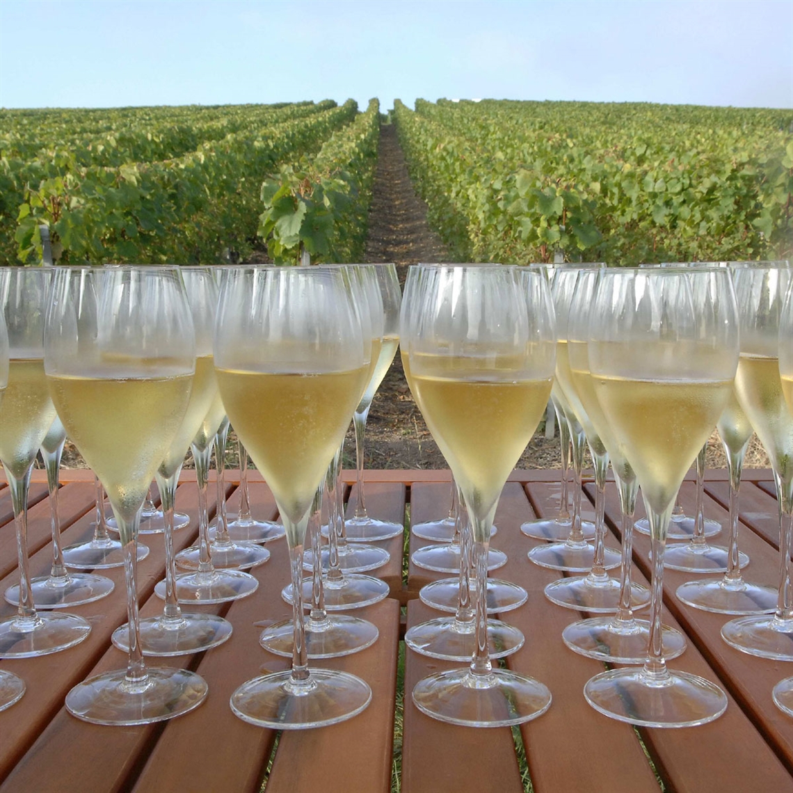 Lehmann Glass Opale Champagne / Sparkling Wine Glass 170ml - Set of 6