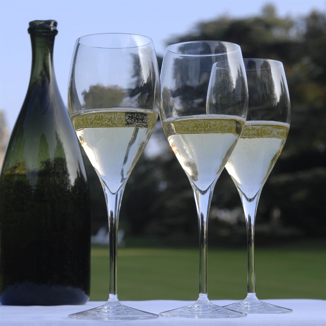 Lehmann Glass Opale Champagne / Sparkling Wine Glass 100ml - Set of 6