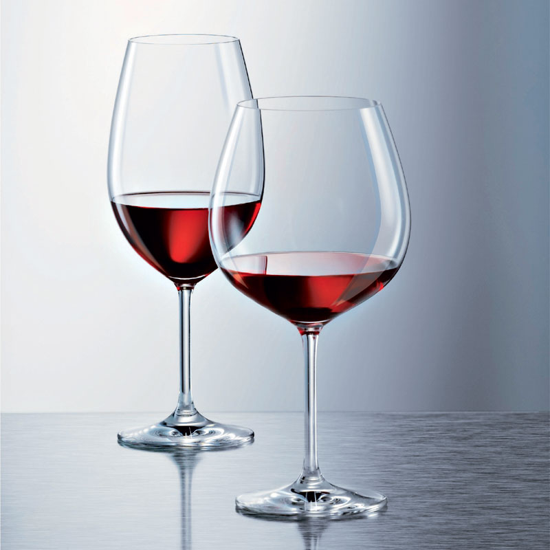 Schott Zwiesel Ivento Burgundy Glass - Set of 2